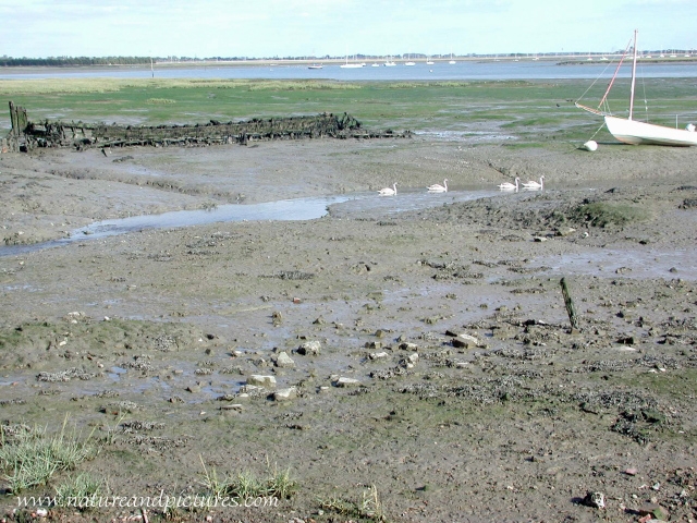 hayling island views landscape-039.jpg - LANGSTONE - LOOKING SOUTH-EAST -20.7.06